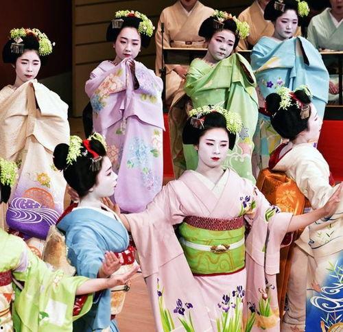 日本舞伎爆料视频大全集,独家爆料视频大全集深度解析